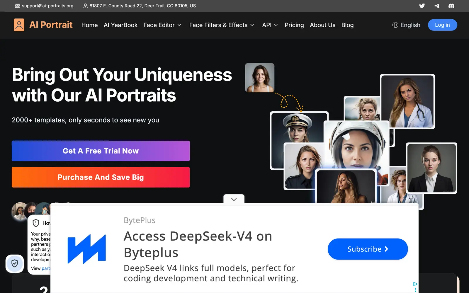 Screenshot of the AI Portraits website