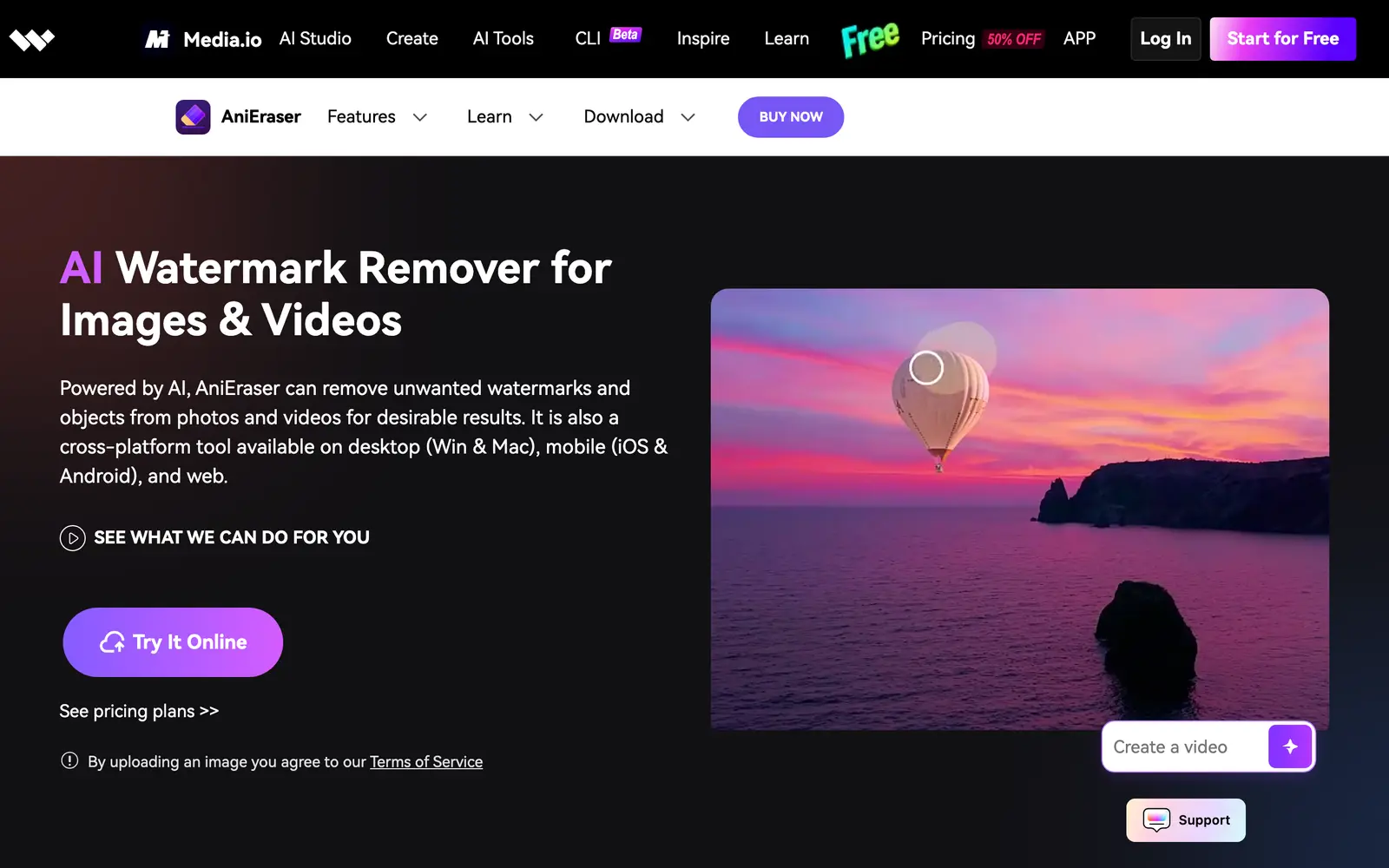 Screenshot of the AniEraser website