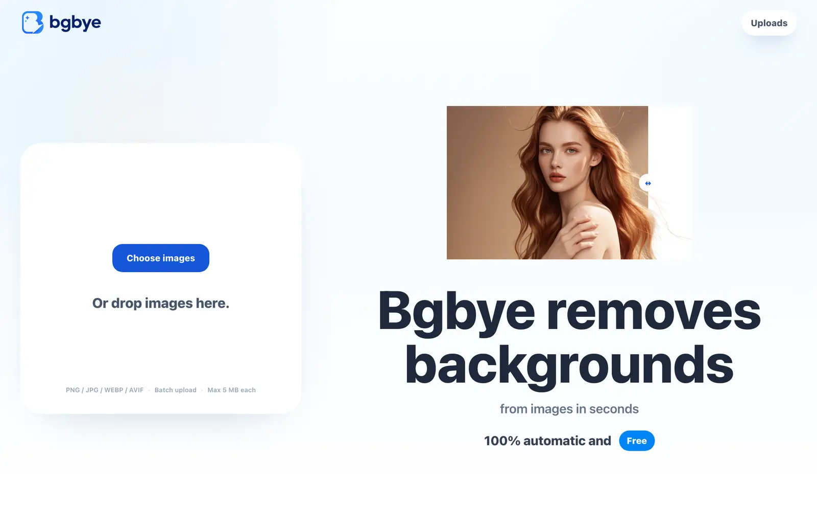 Screenshot of the Bgbye website
