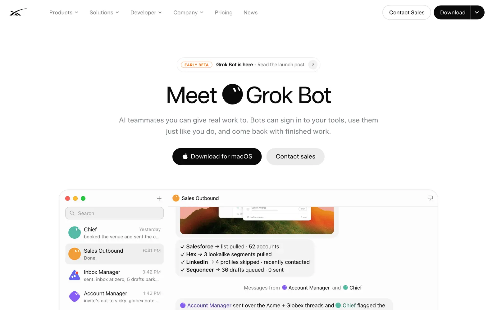 Screenshot of the Grok Bot website