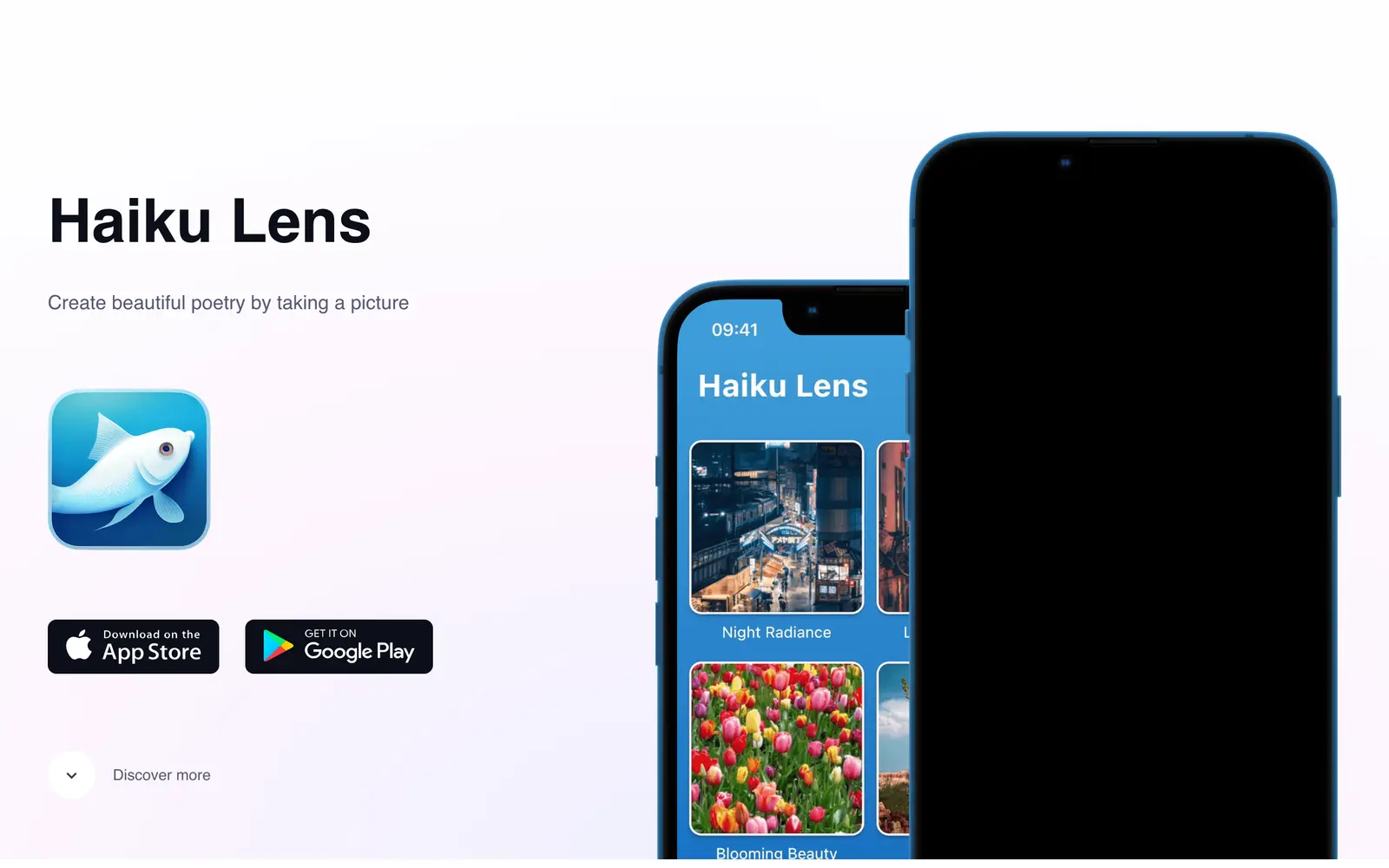 Screenshot of the Haiku Lens website