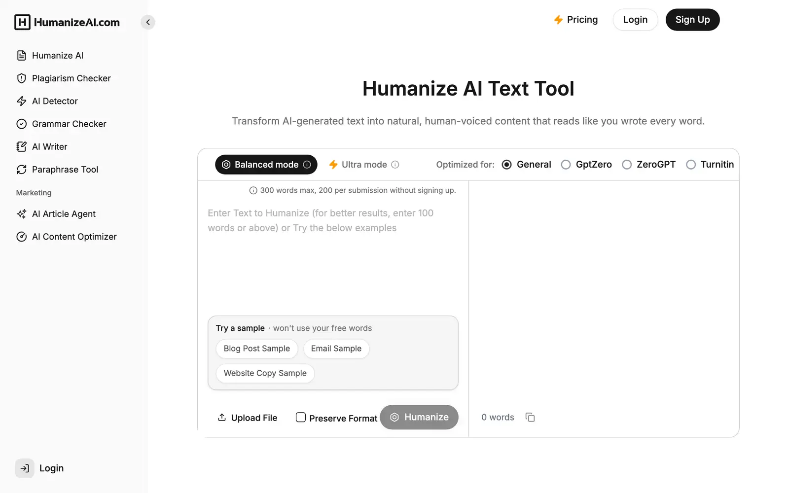 Screenshot of the Humanize AI website