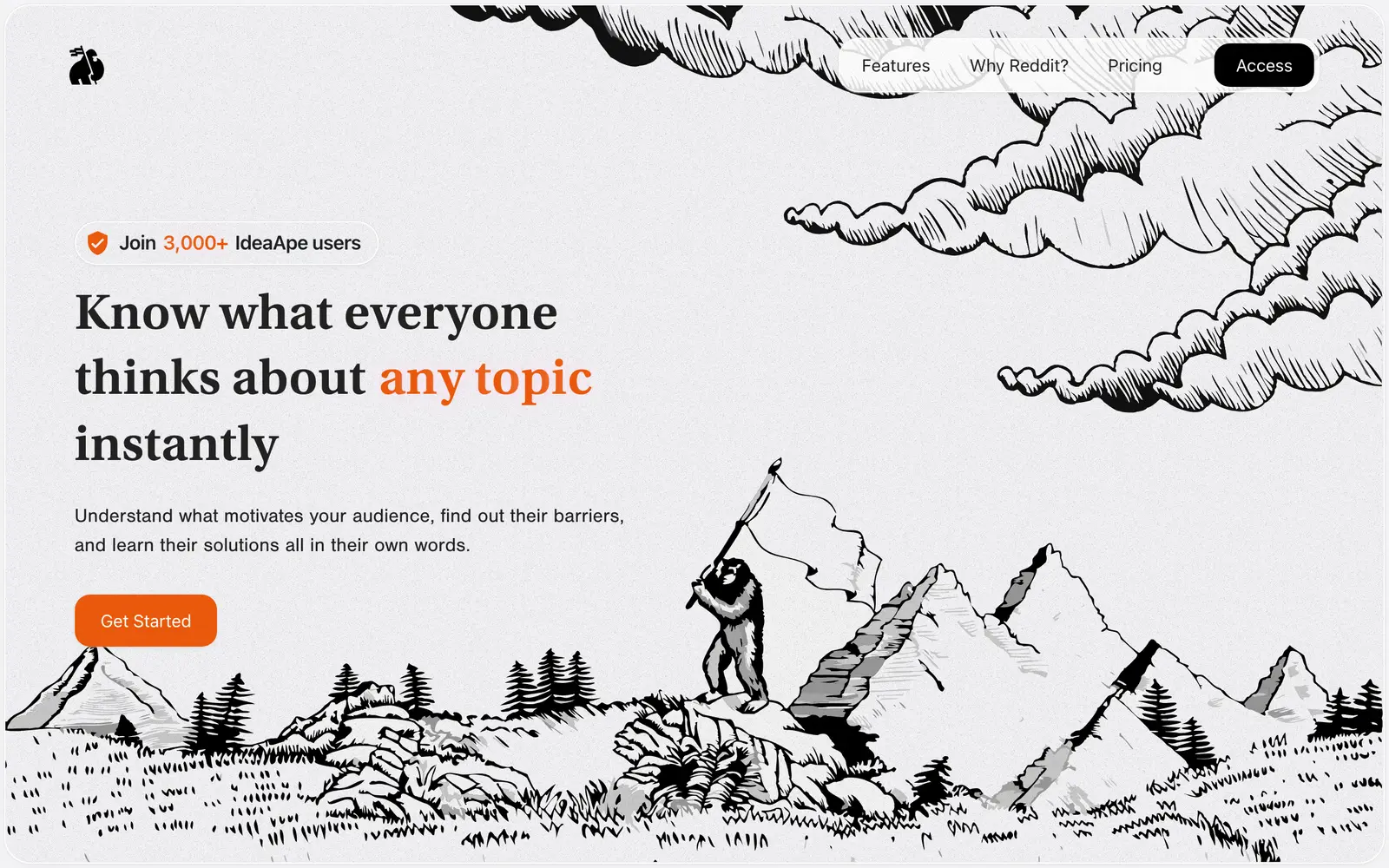 Screenshot of the IdeaApe website