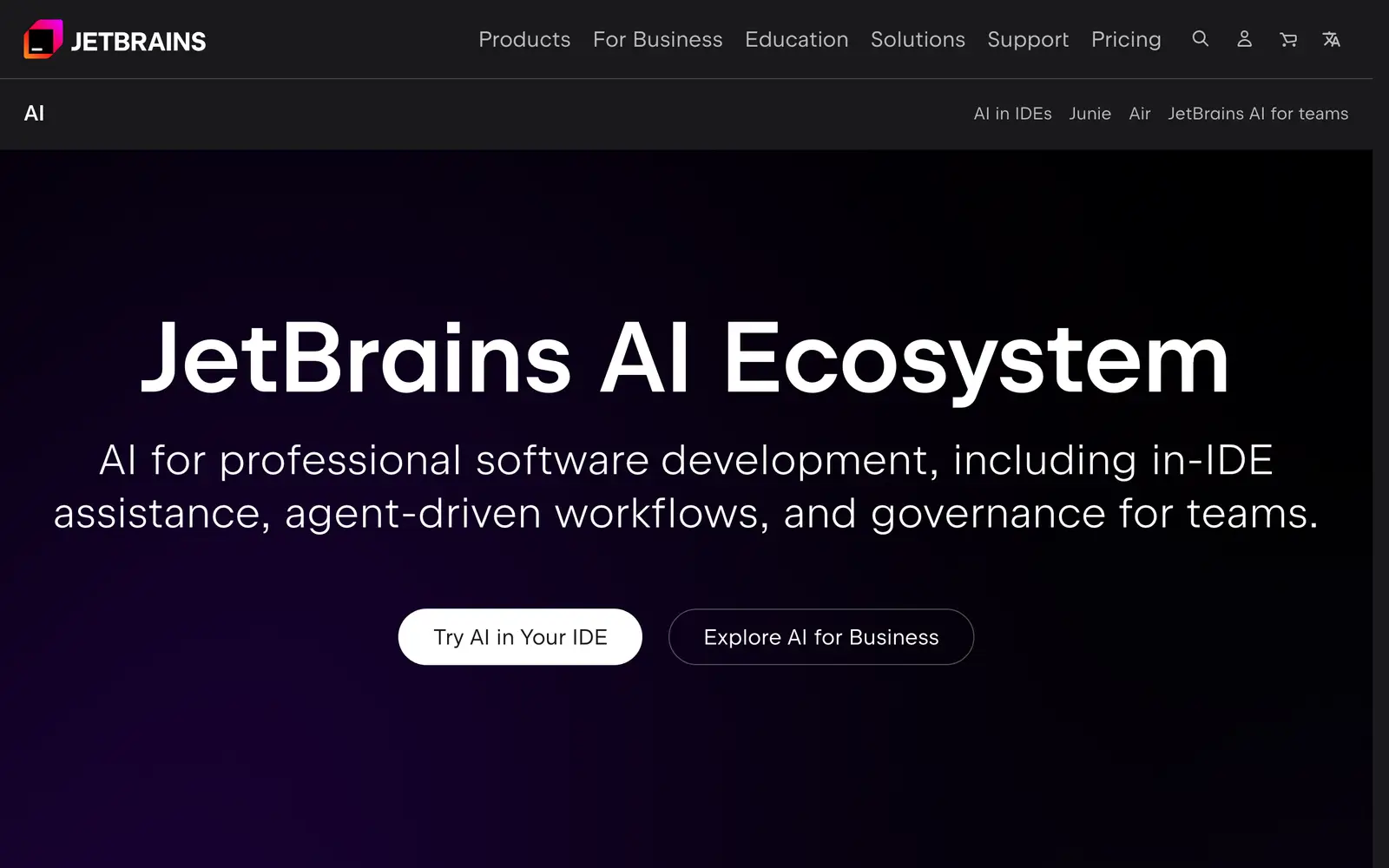 The JetBrains AI website's first screen