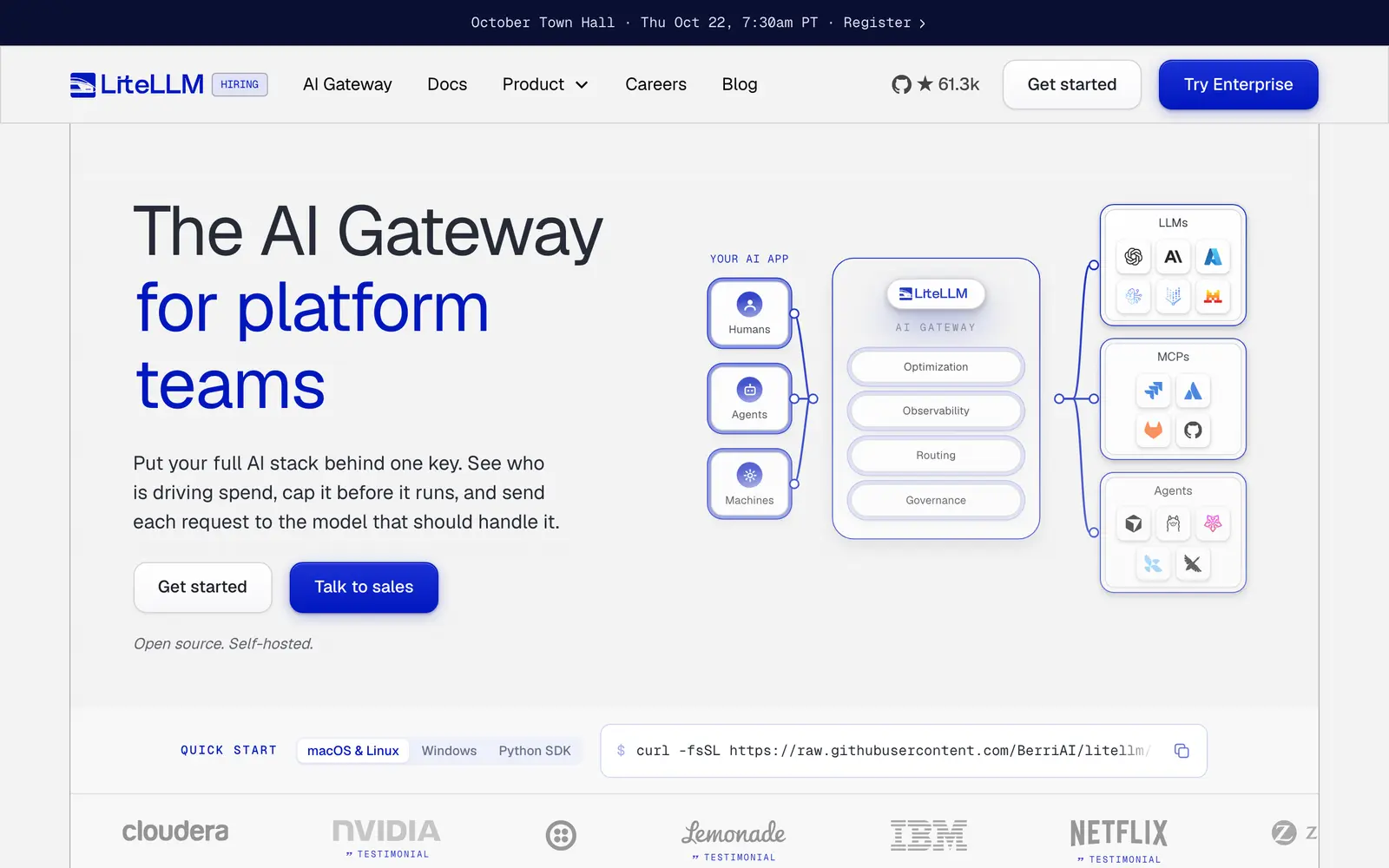 Screenshot of the LiteLLM website