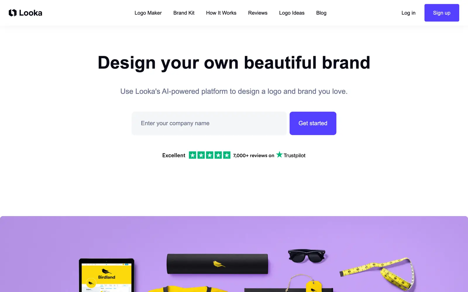 Screenshot of the Looka website