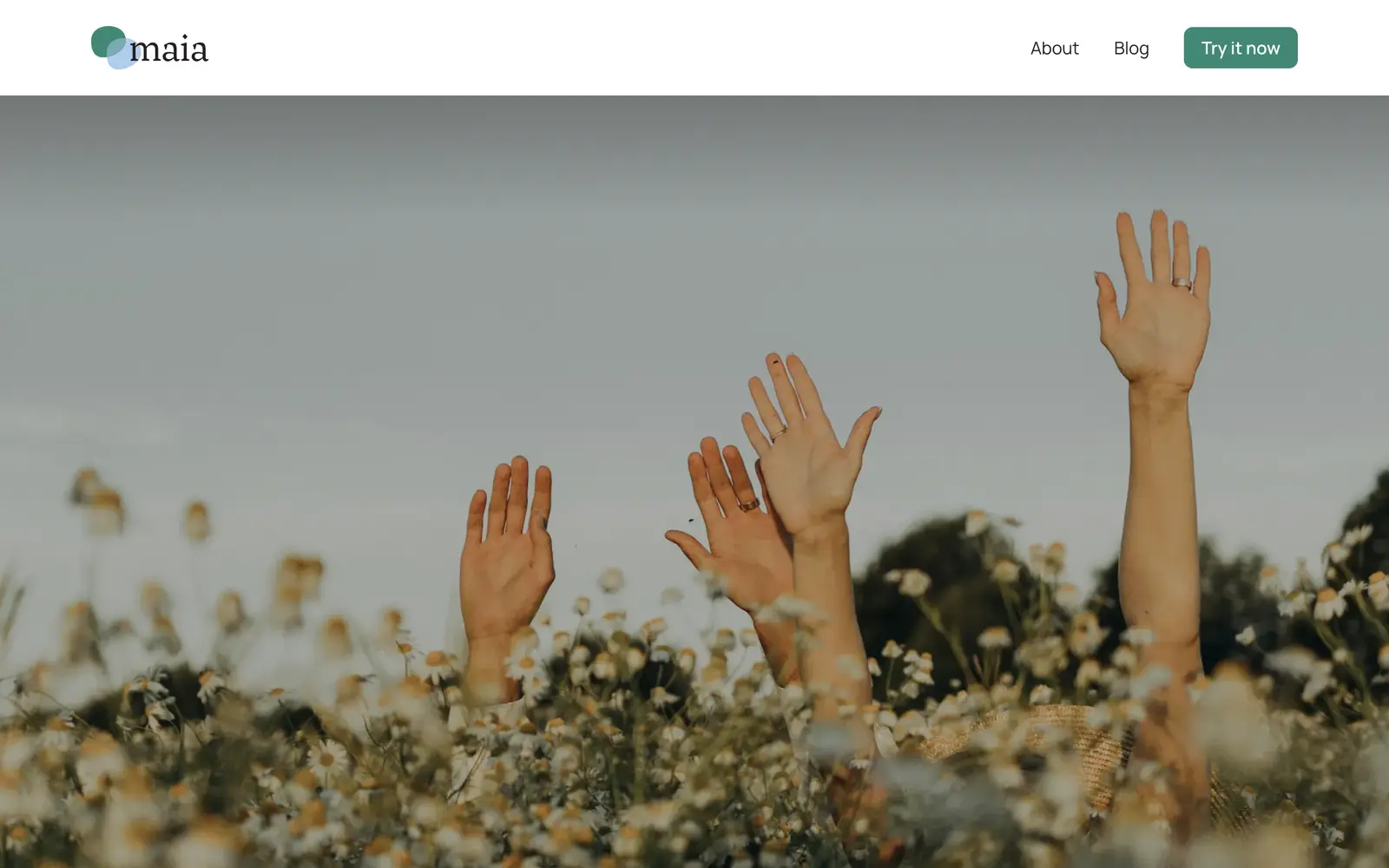 Screenshot of the Maia website