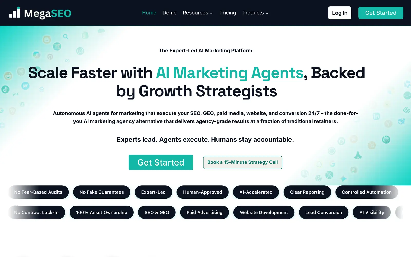 Screenshot of the Mega SEO website