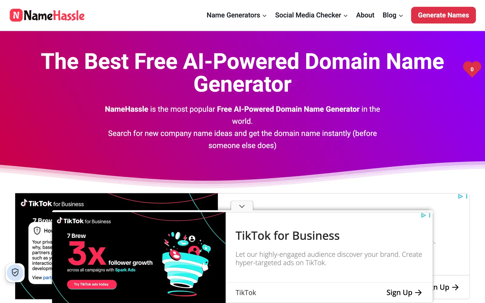 Screenshot of the NameHassle website