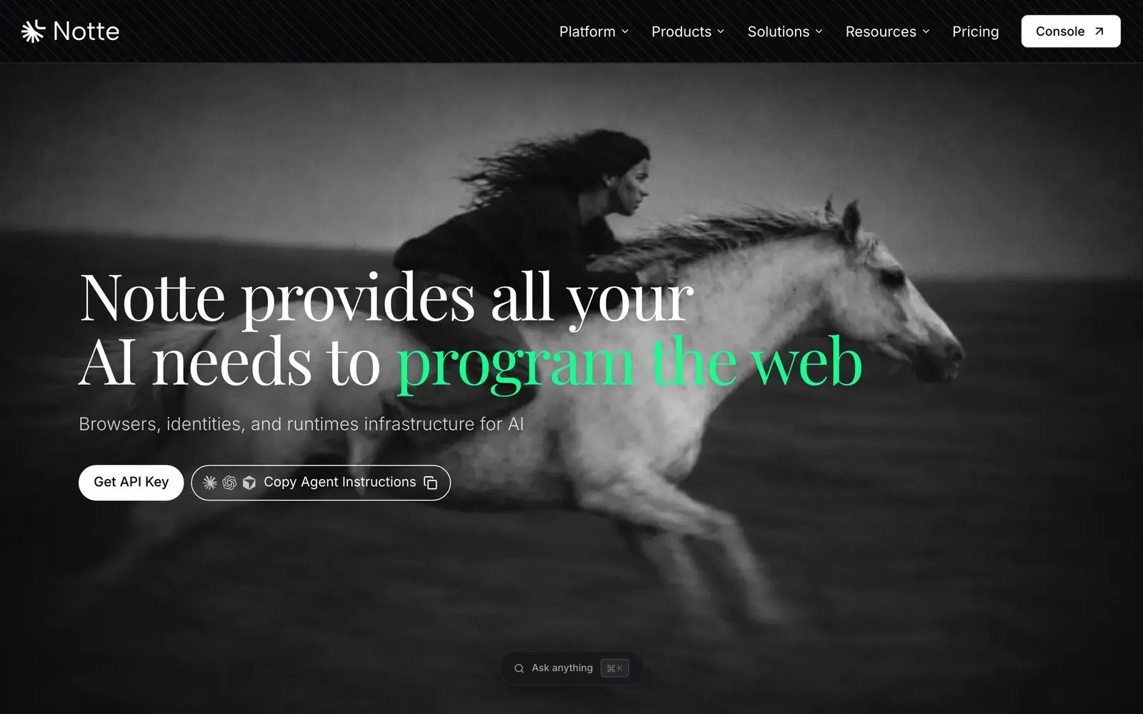 Screenshot of the Notte website