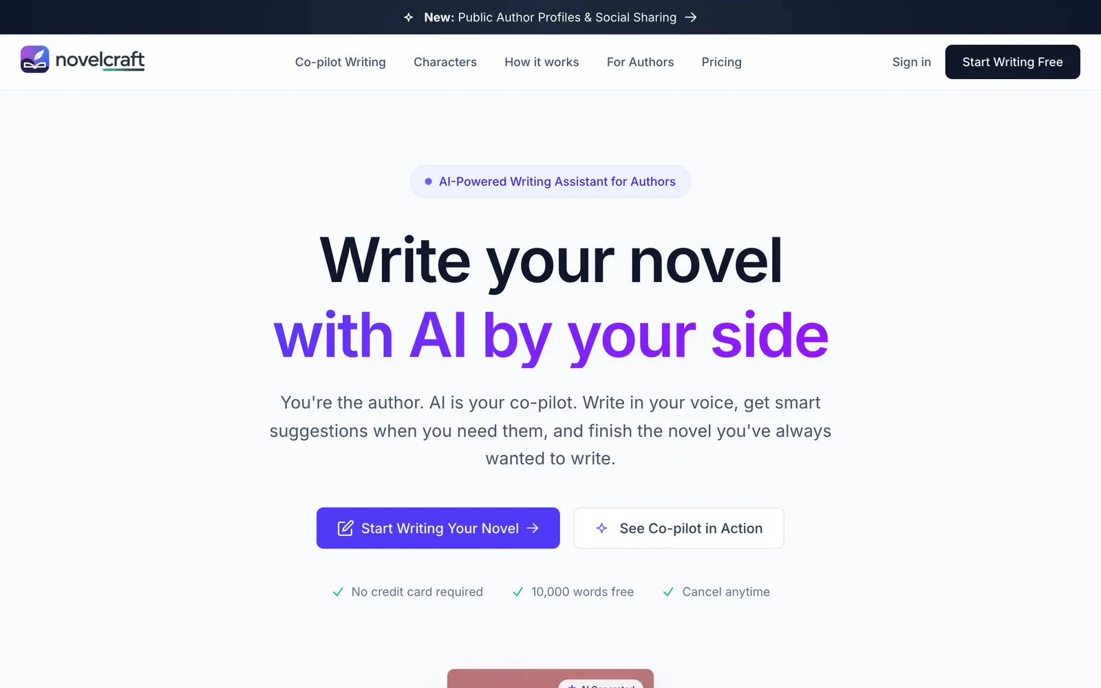 Screenshot of the NovelCraft website