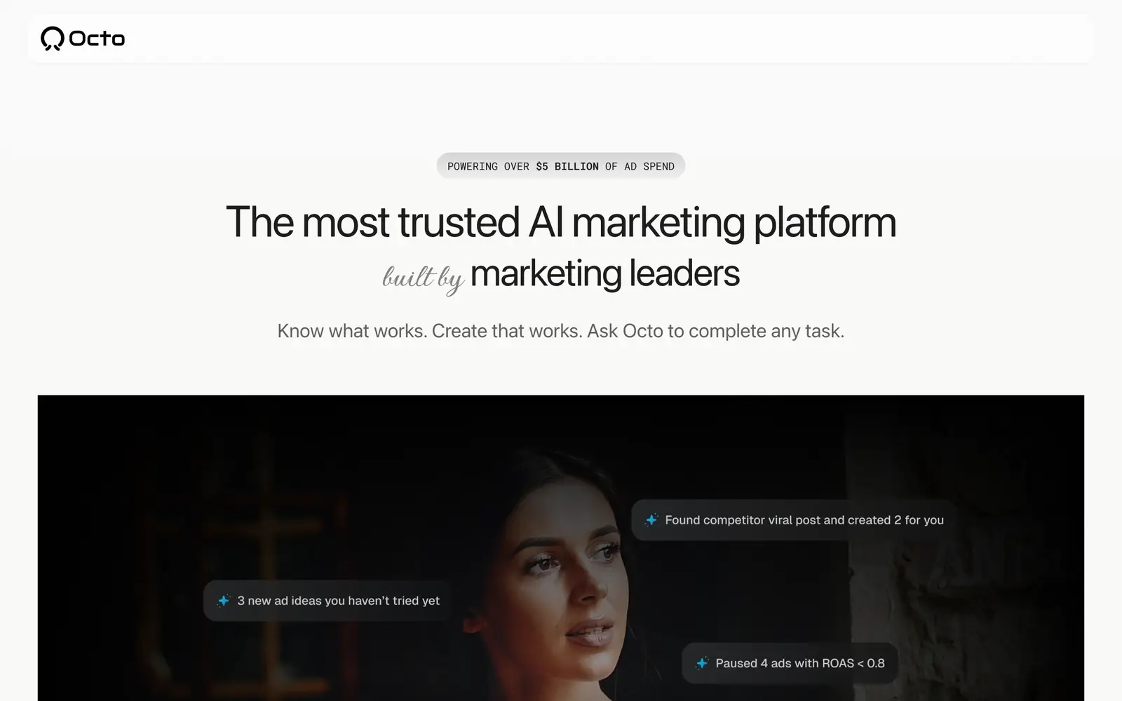 Screenshot of the Octo website