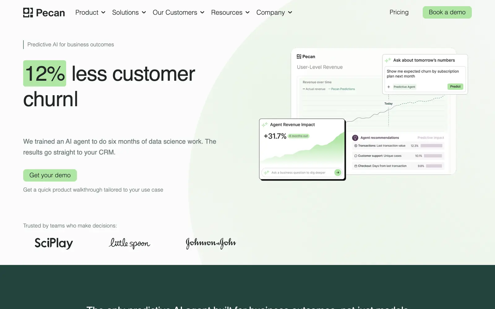 Screenshot of the Pecan AI website