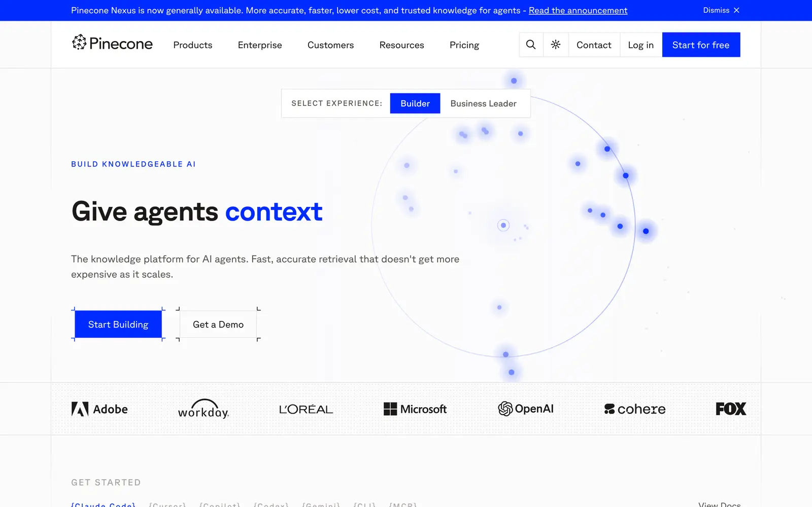 Screenshot of the Pinecone website