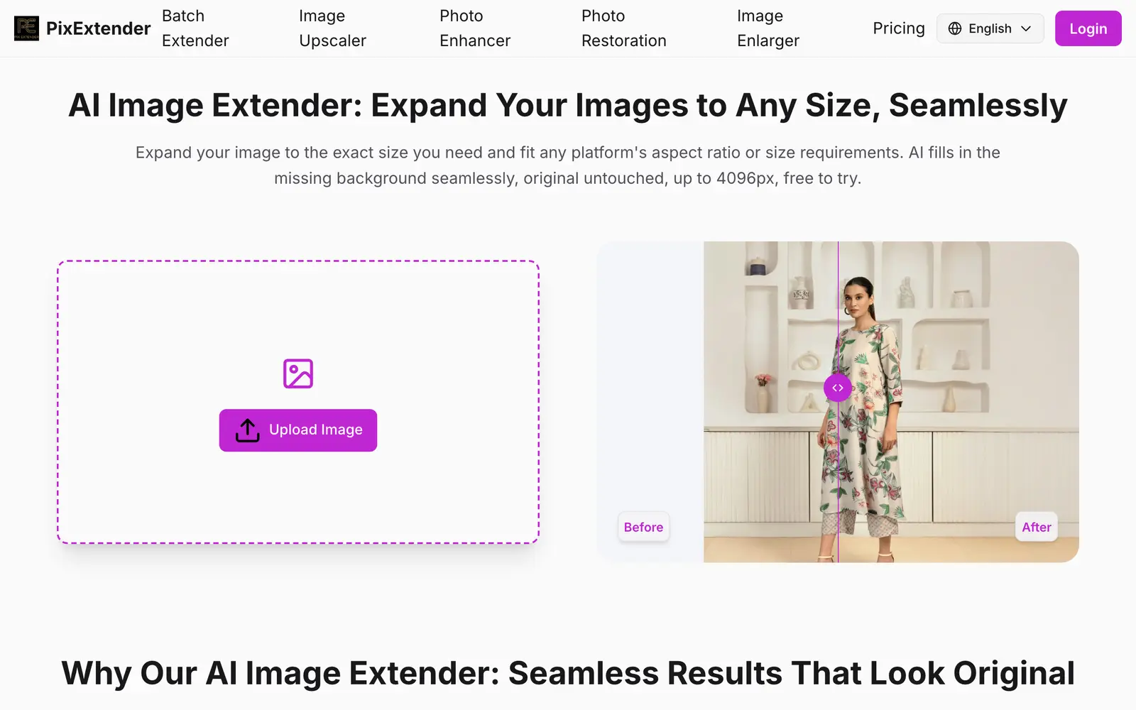 Screenshot of the PixExtender website
