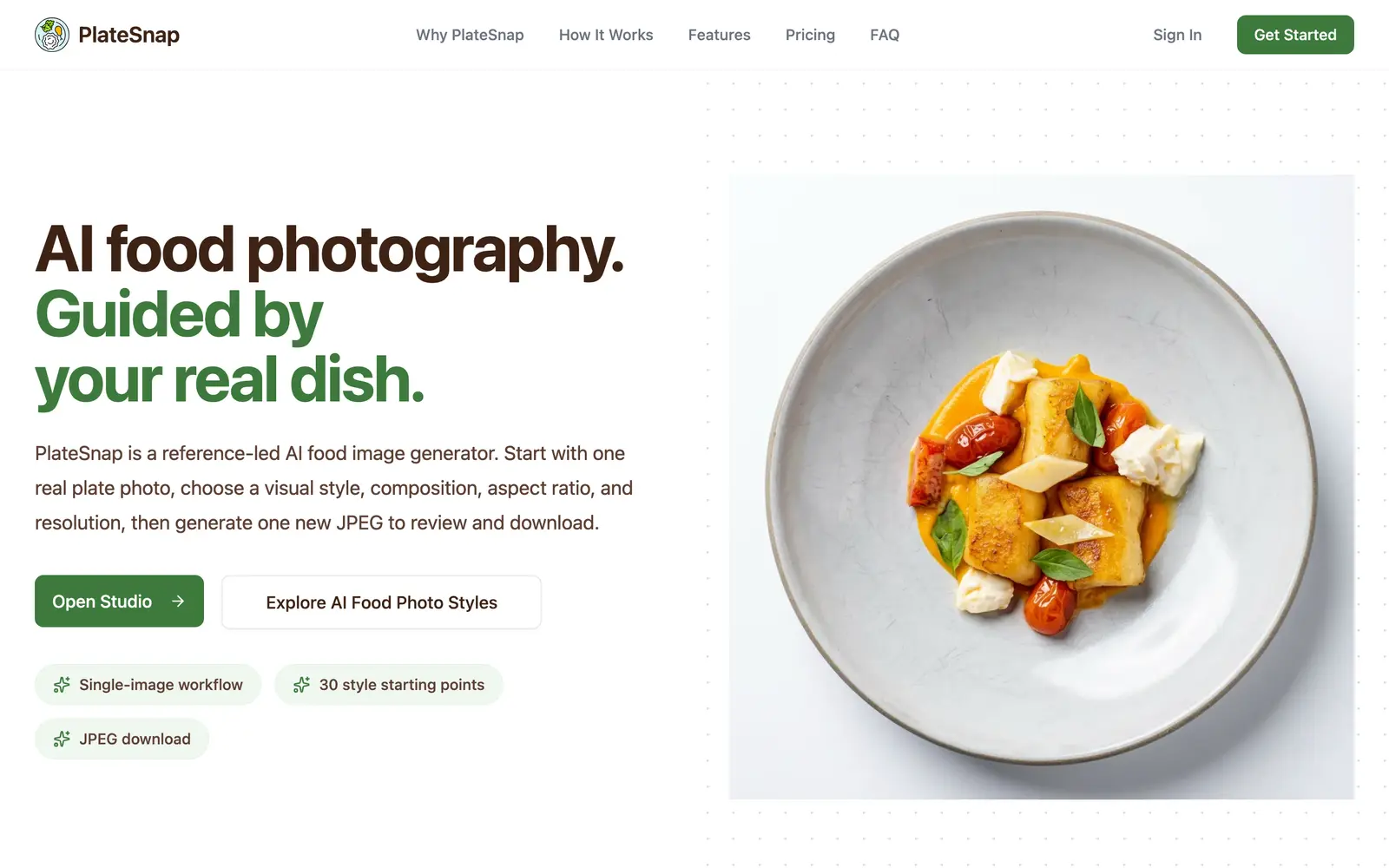 Screenshot of the PlateSnap website