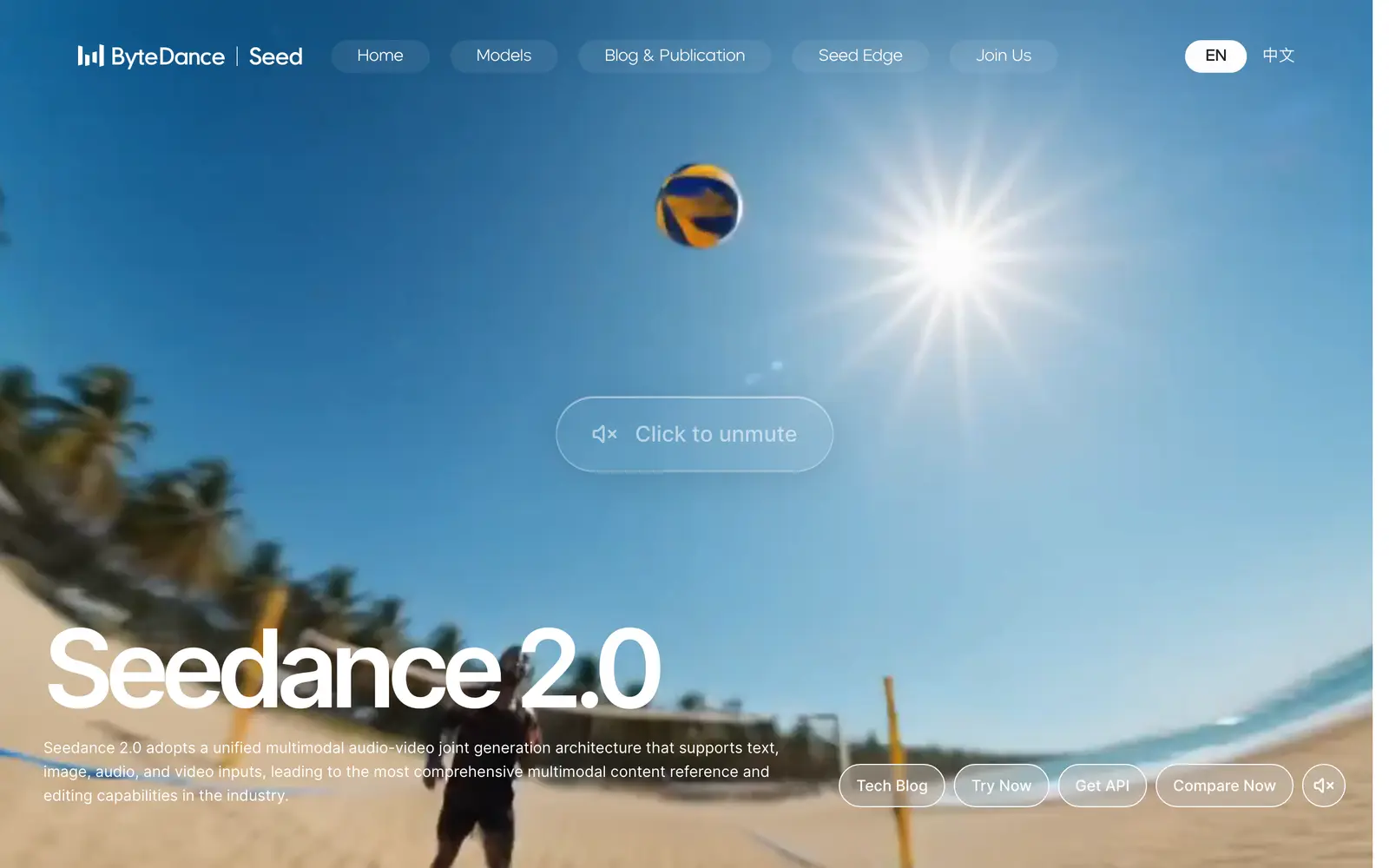 Screenshot of the Seedance 2.0 website