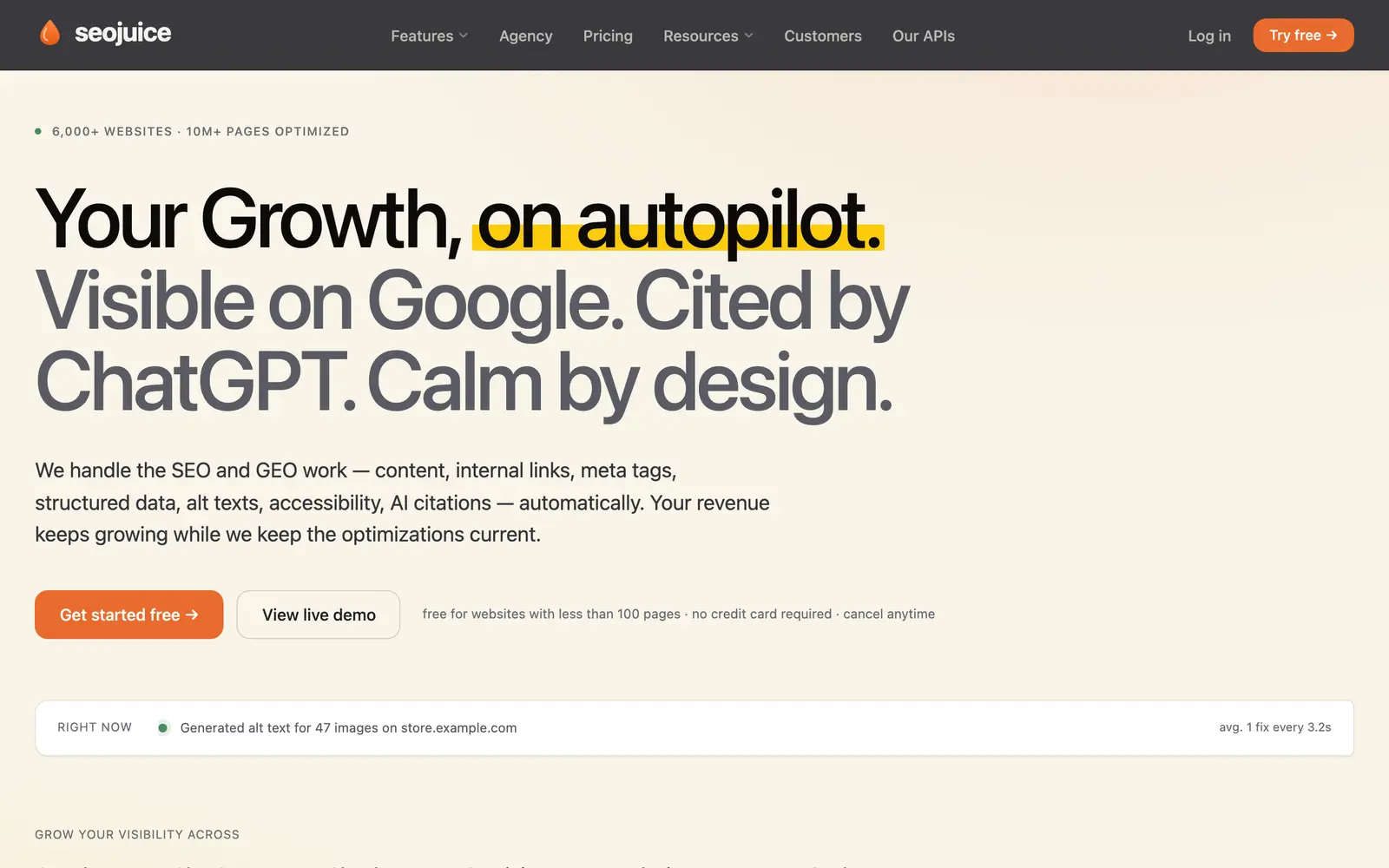 Screenshot of the SEOJuice website