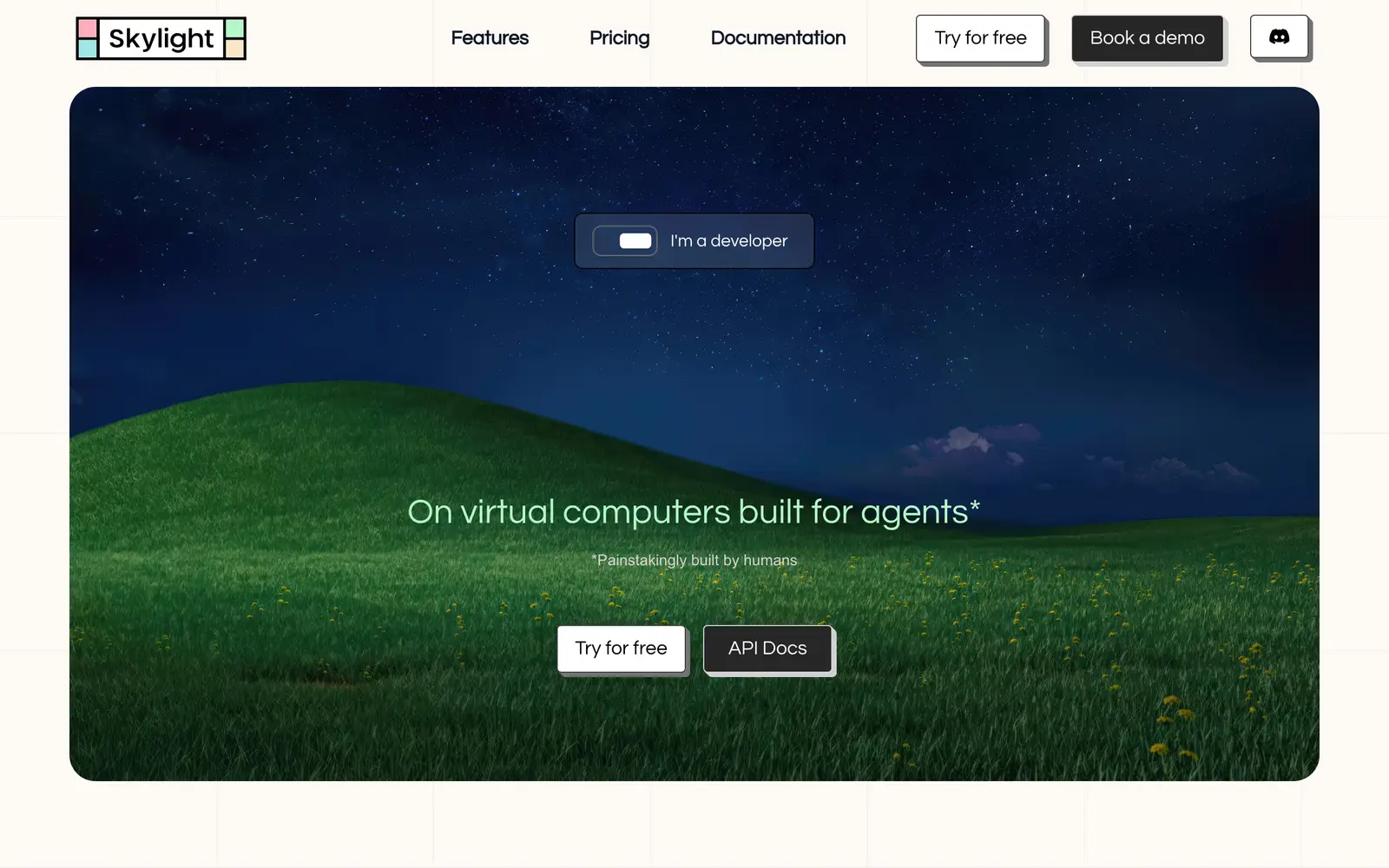 Screenshot of the Skylight website