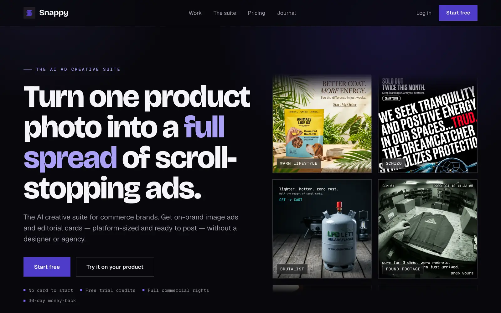 Screenshot of the Snappy website