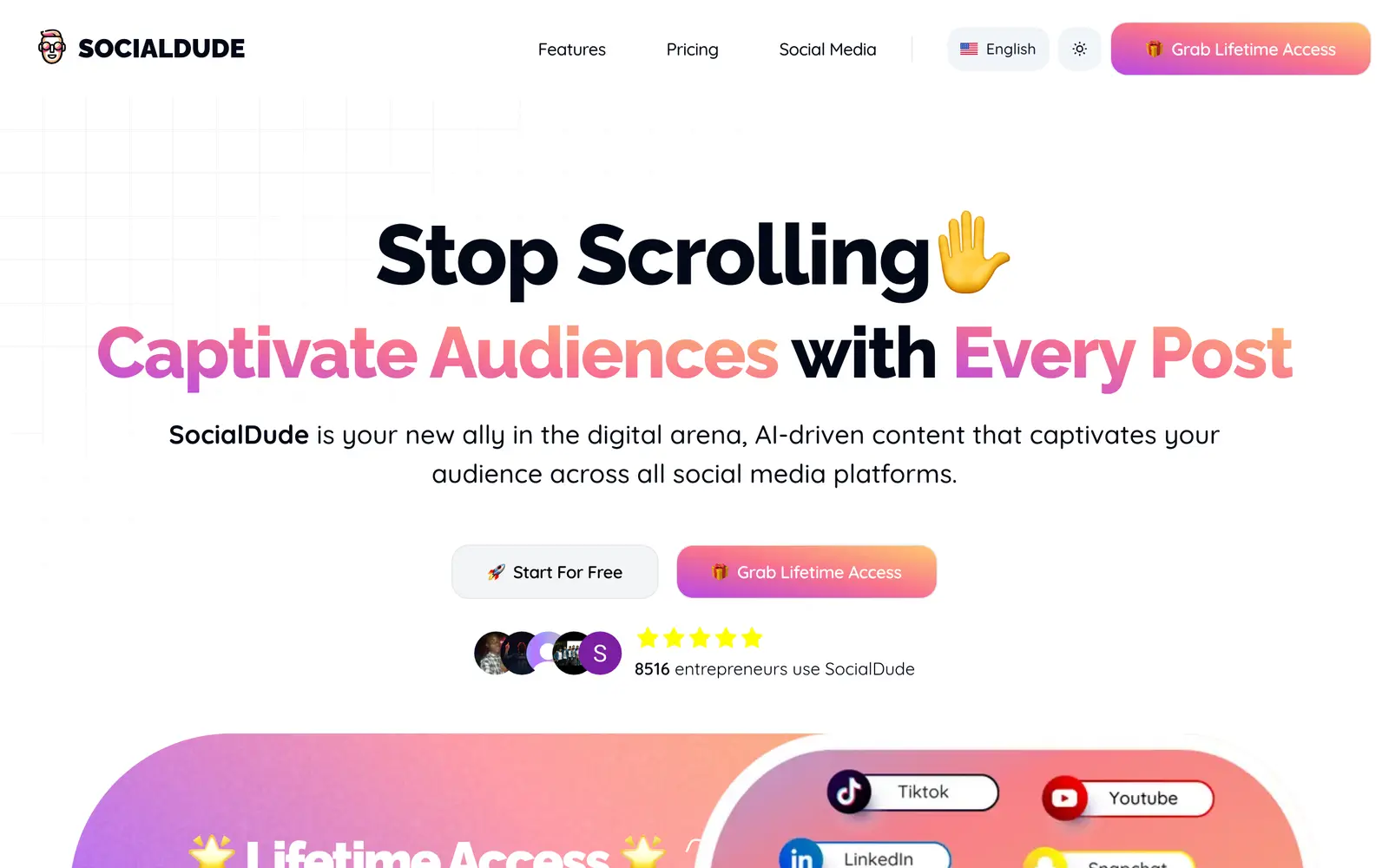 Screenshot of the SocialDude website