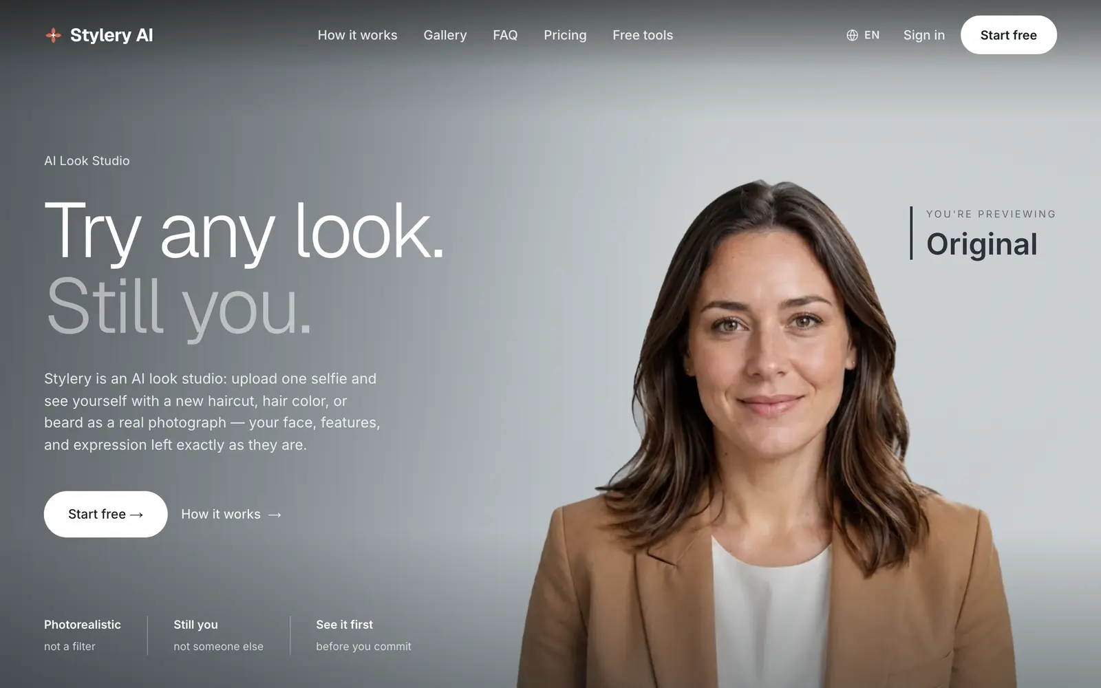 Screenshot of the Stylery AI website