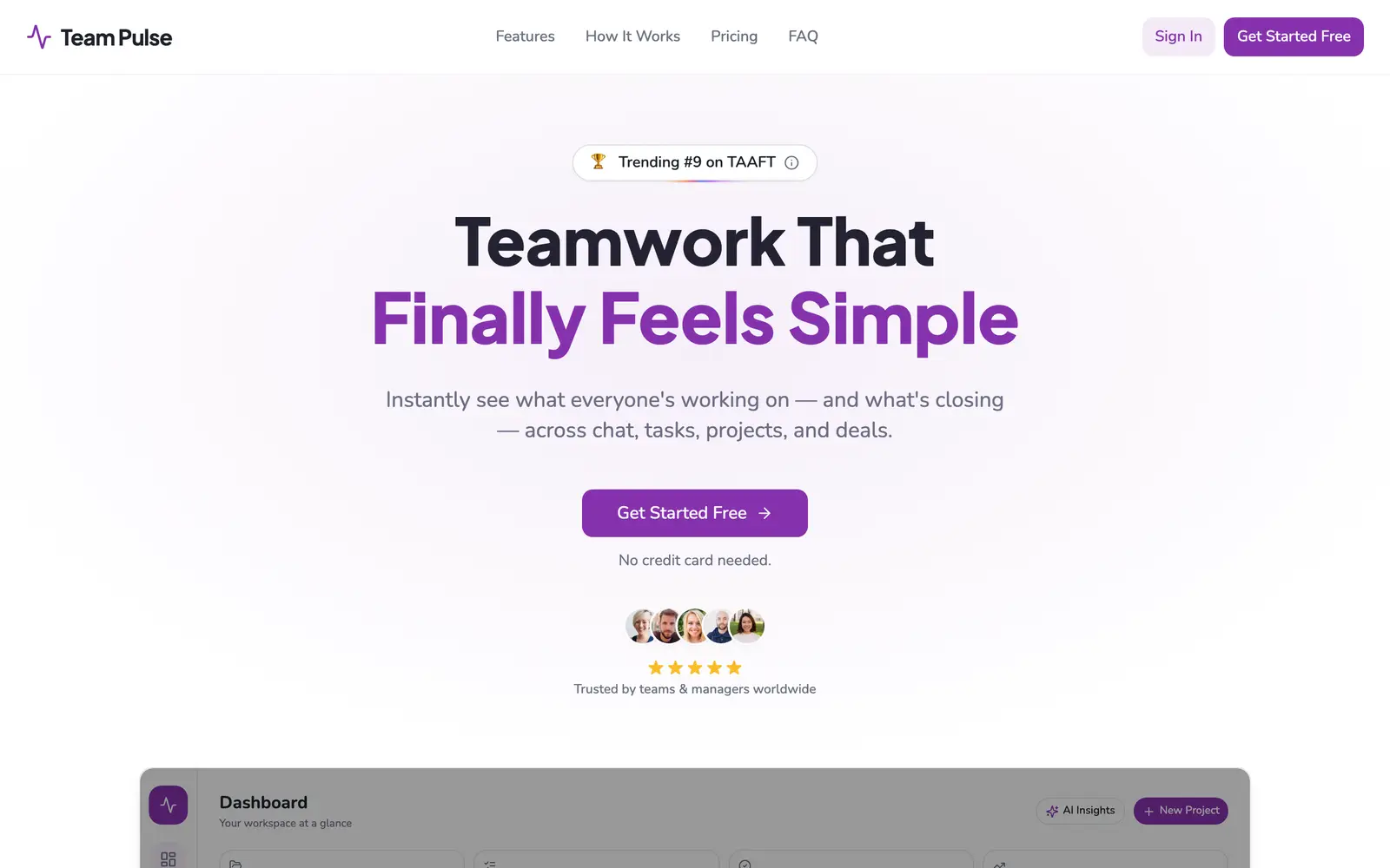 Screenshot of the Team Pulse website