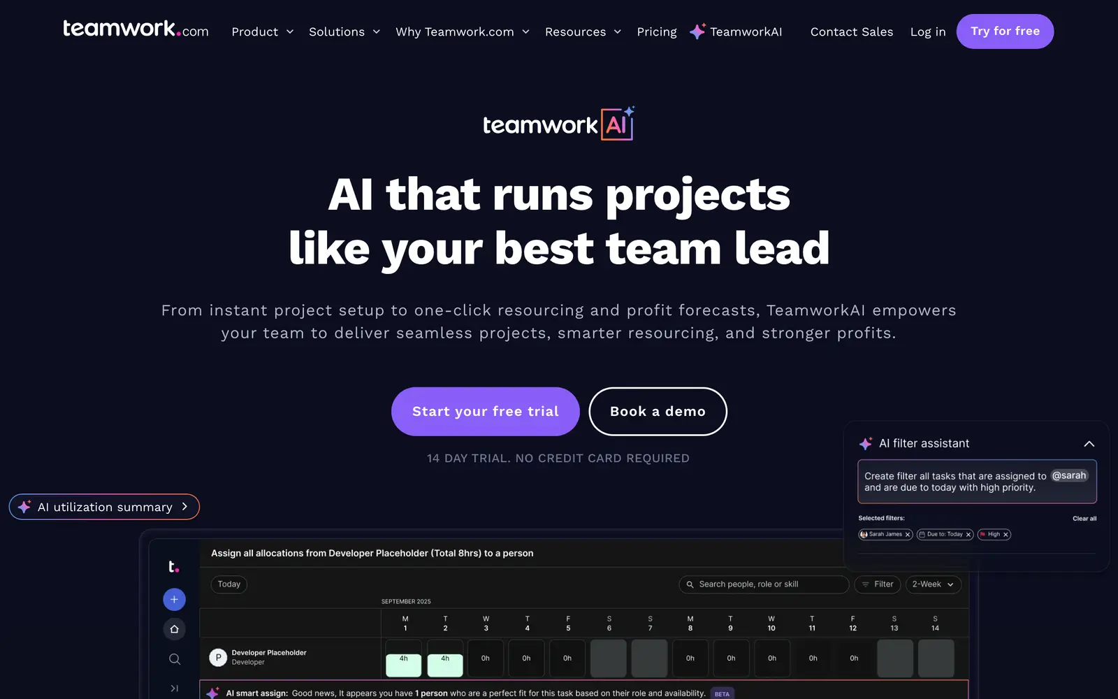Screenshot of the TeamworkAI website