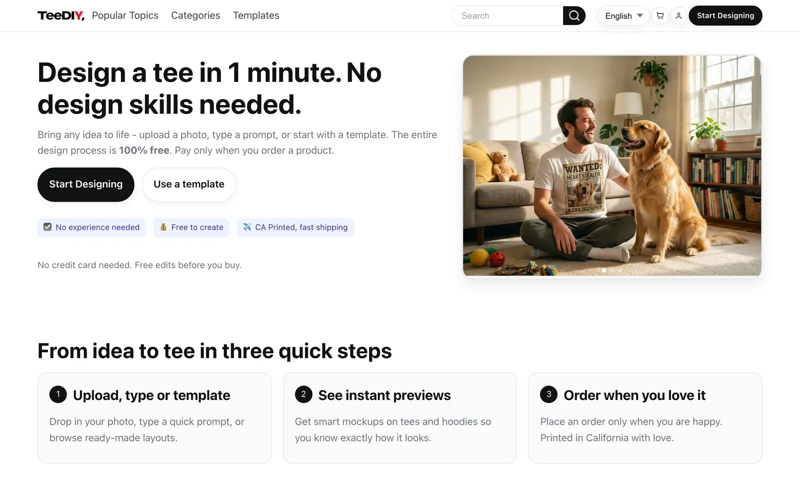 Screenshot of the TeeDIY website
