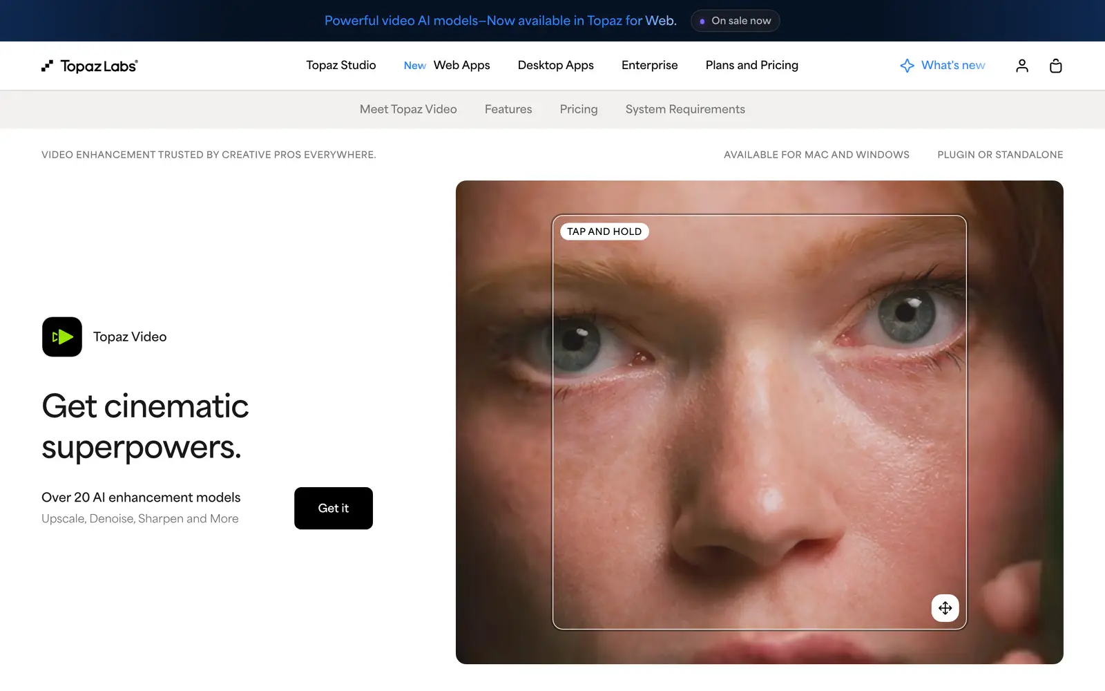 Screenshot of the Topaz Video website