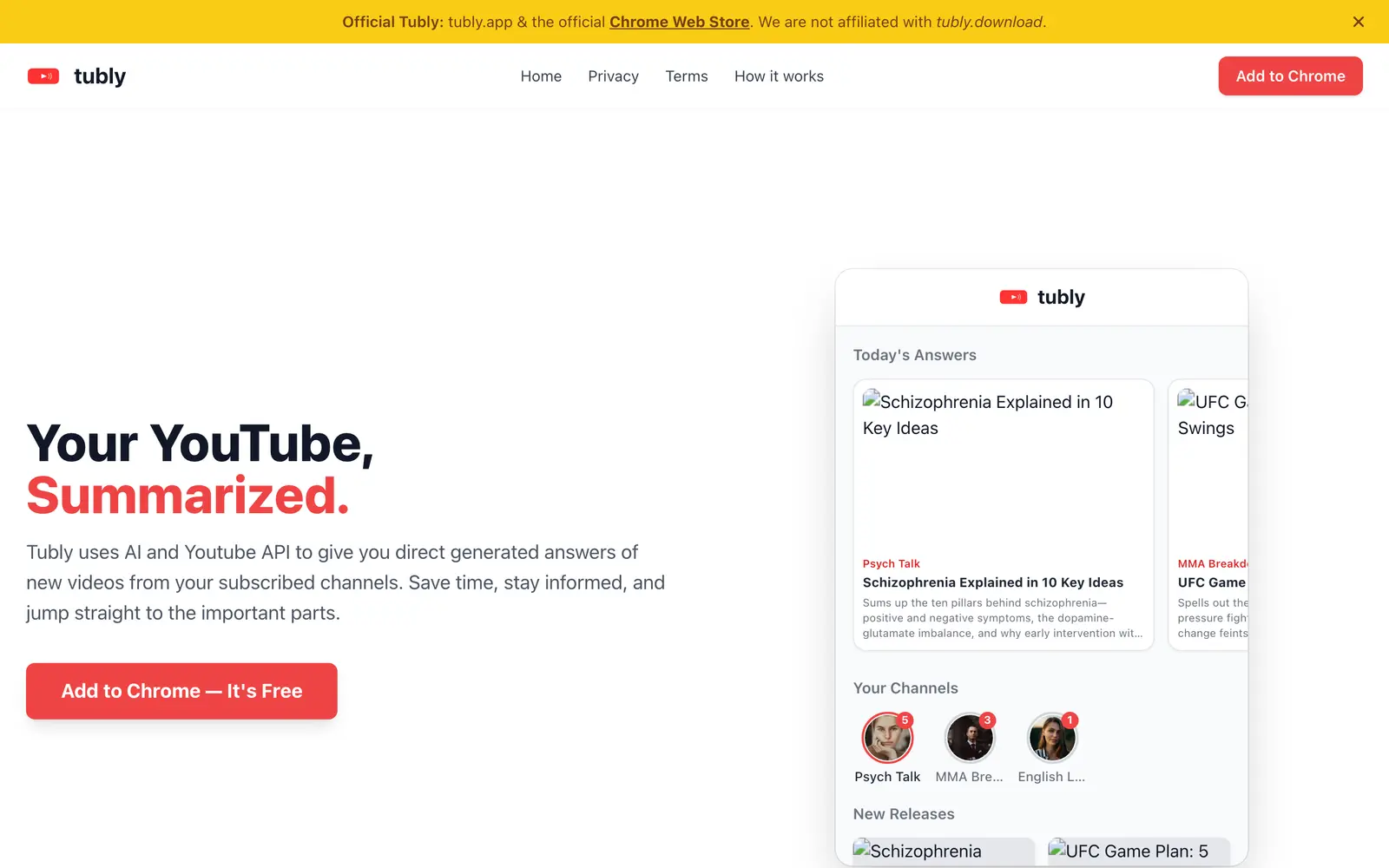 Screenshot of the Tubly website