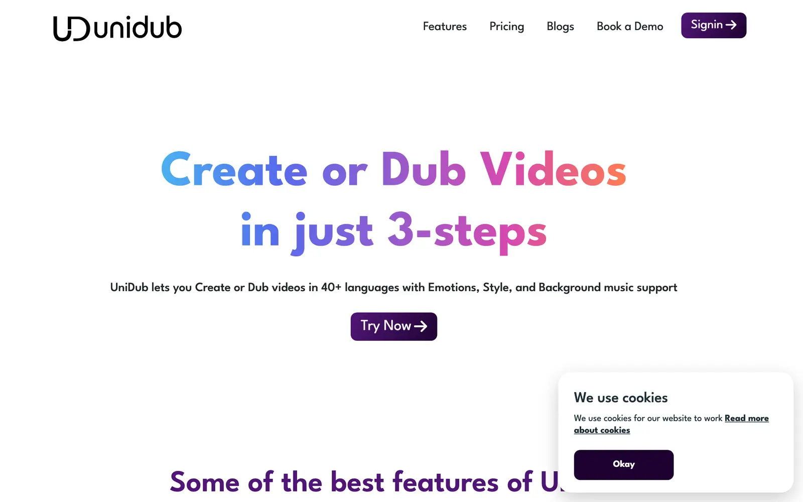 Screenshot of the UniDub website