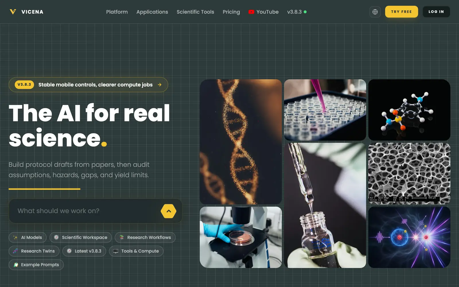 Screenshot of the Vicena website