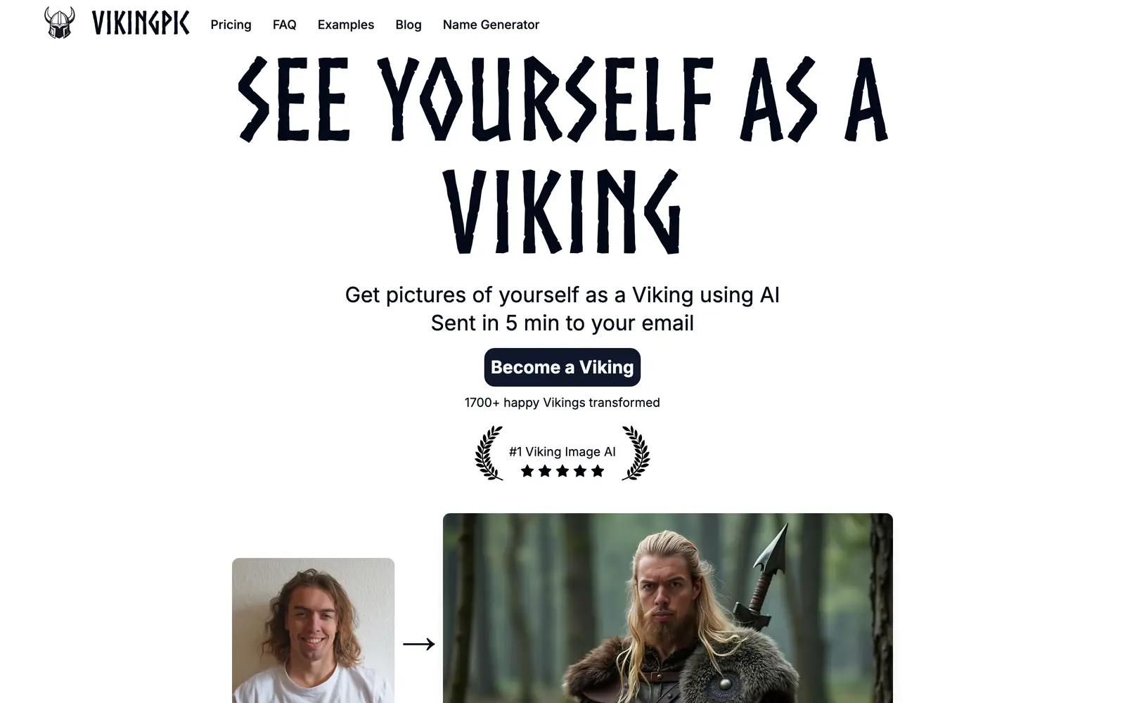 Screenshot of the VikingPic website