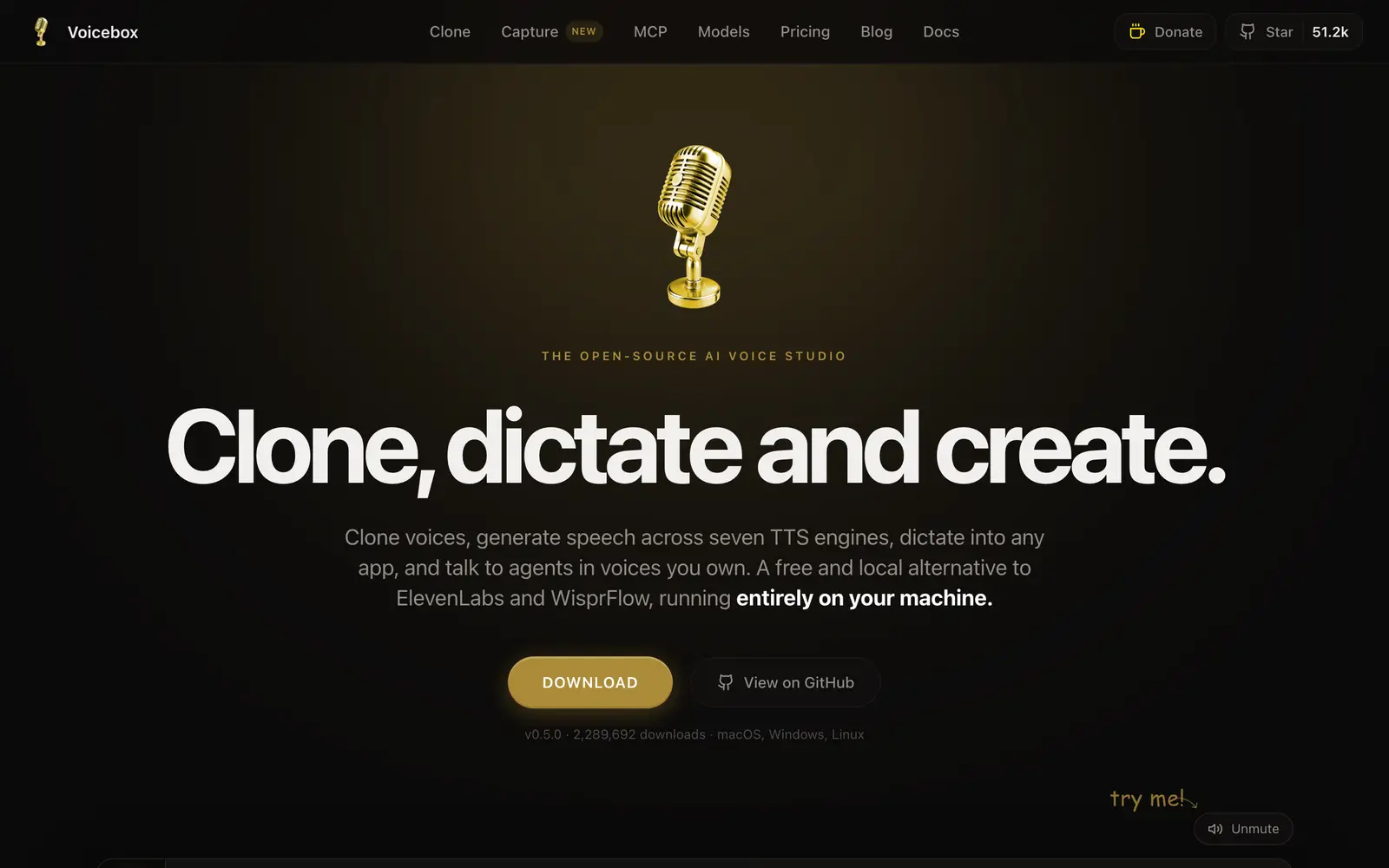 Screenshot of the Voicebox website