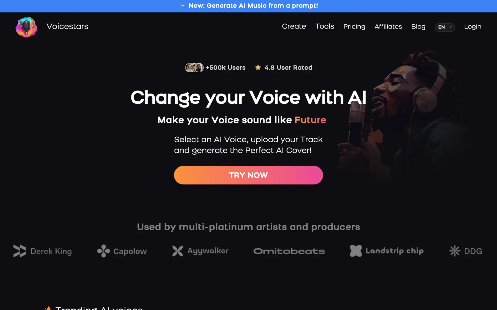 Screenshot of the Voicestars website