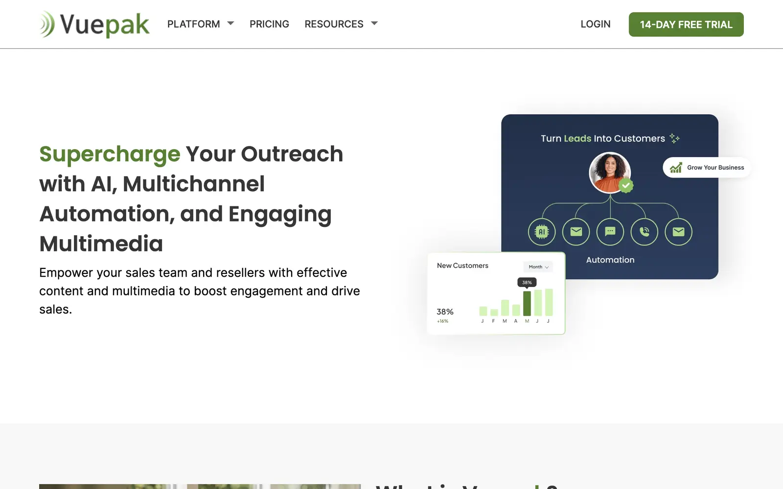 Screenshot of the Vuepak website
