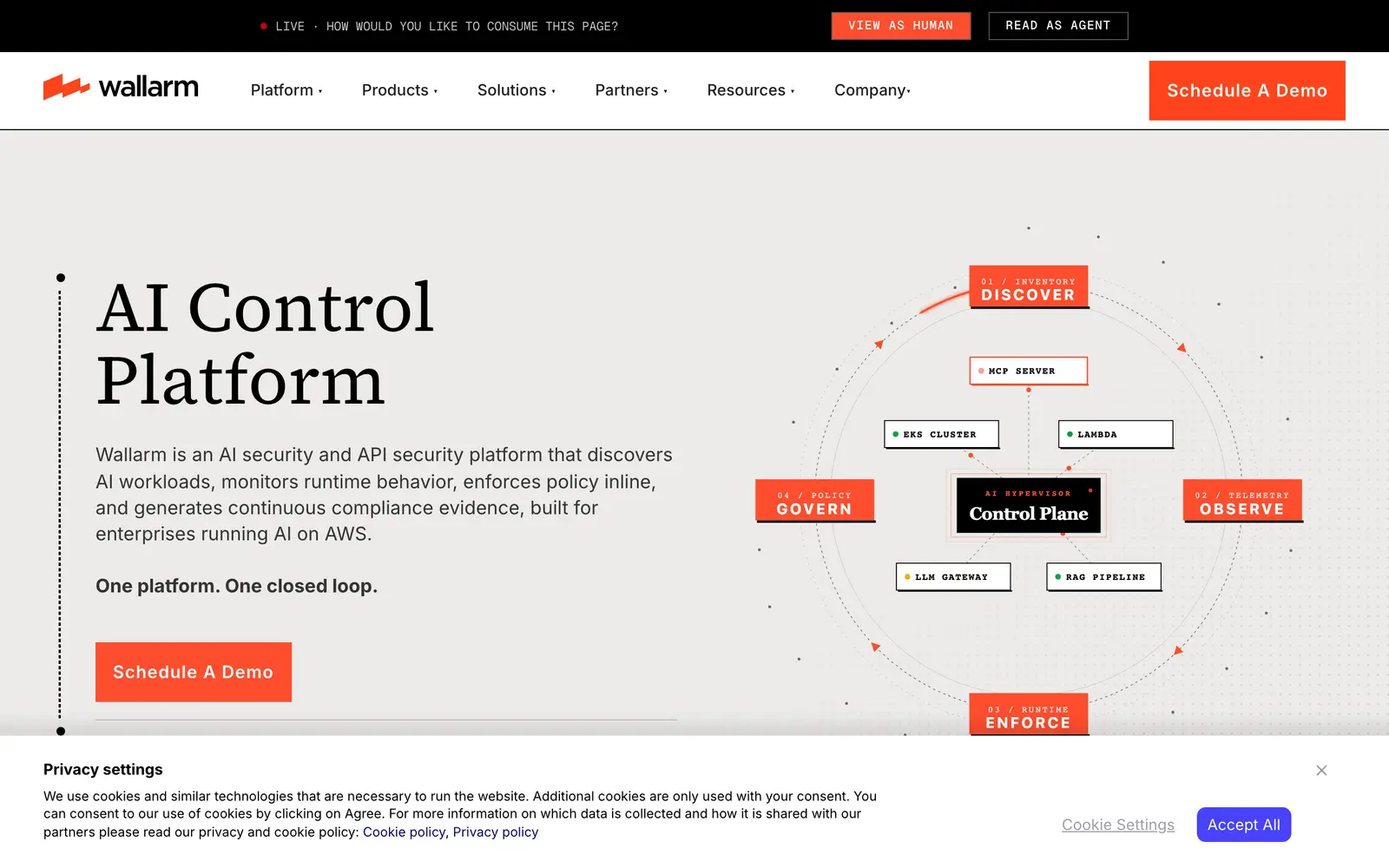Screenshot of the Wallarm website