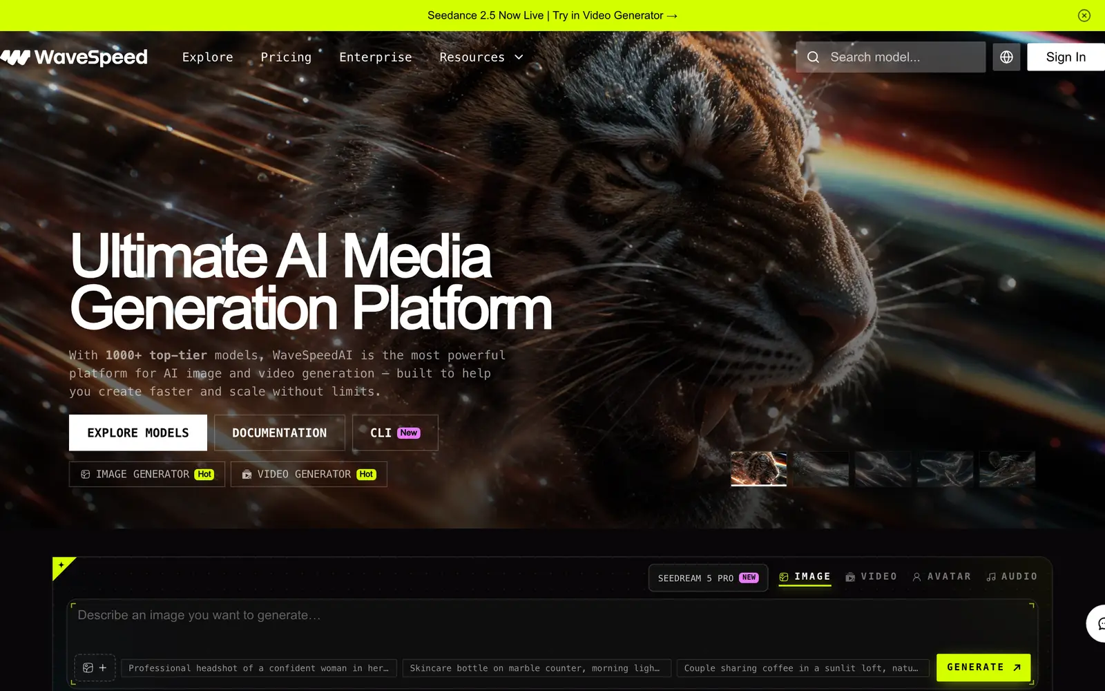Screenshot of the WaveSpeedAI website