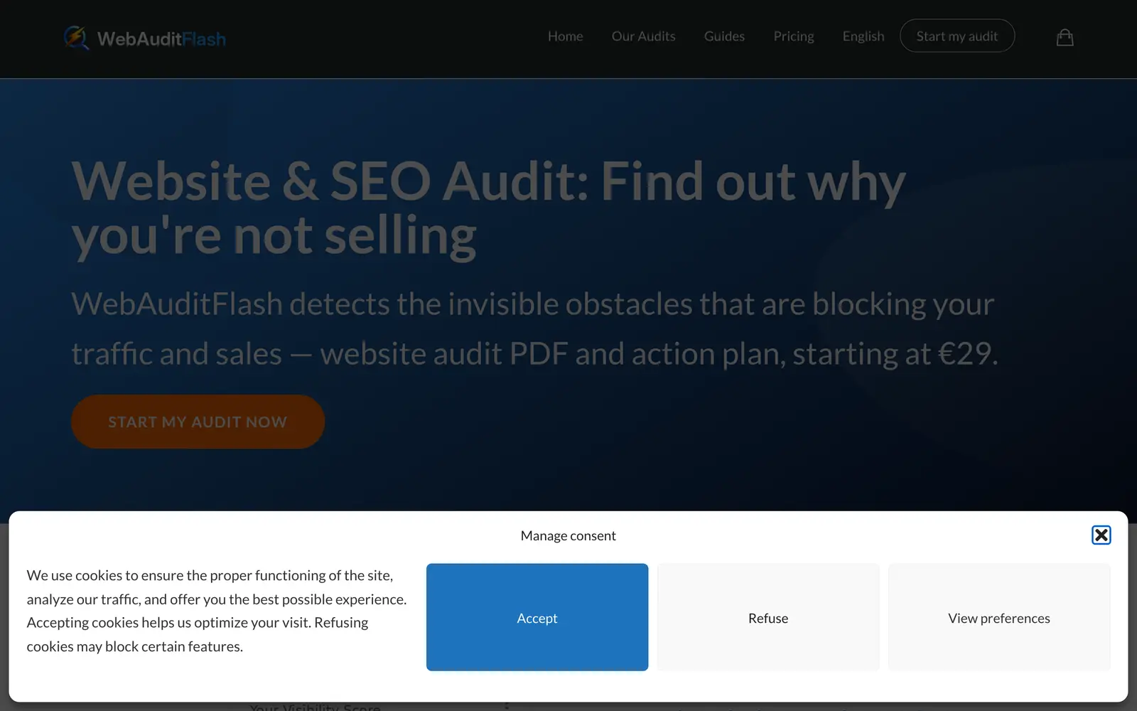 Screenshot of the WebAuditFlash website