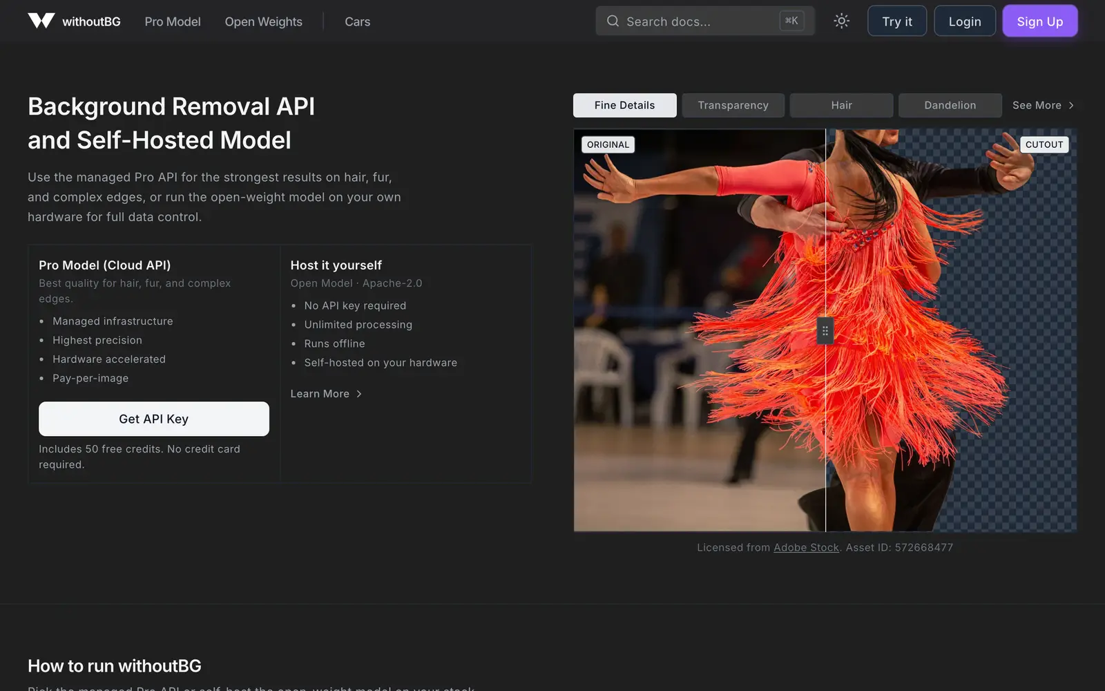 Screenshot of the withoutBG website