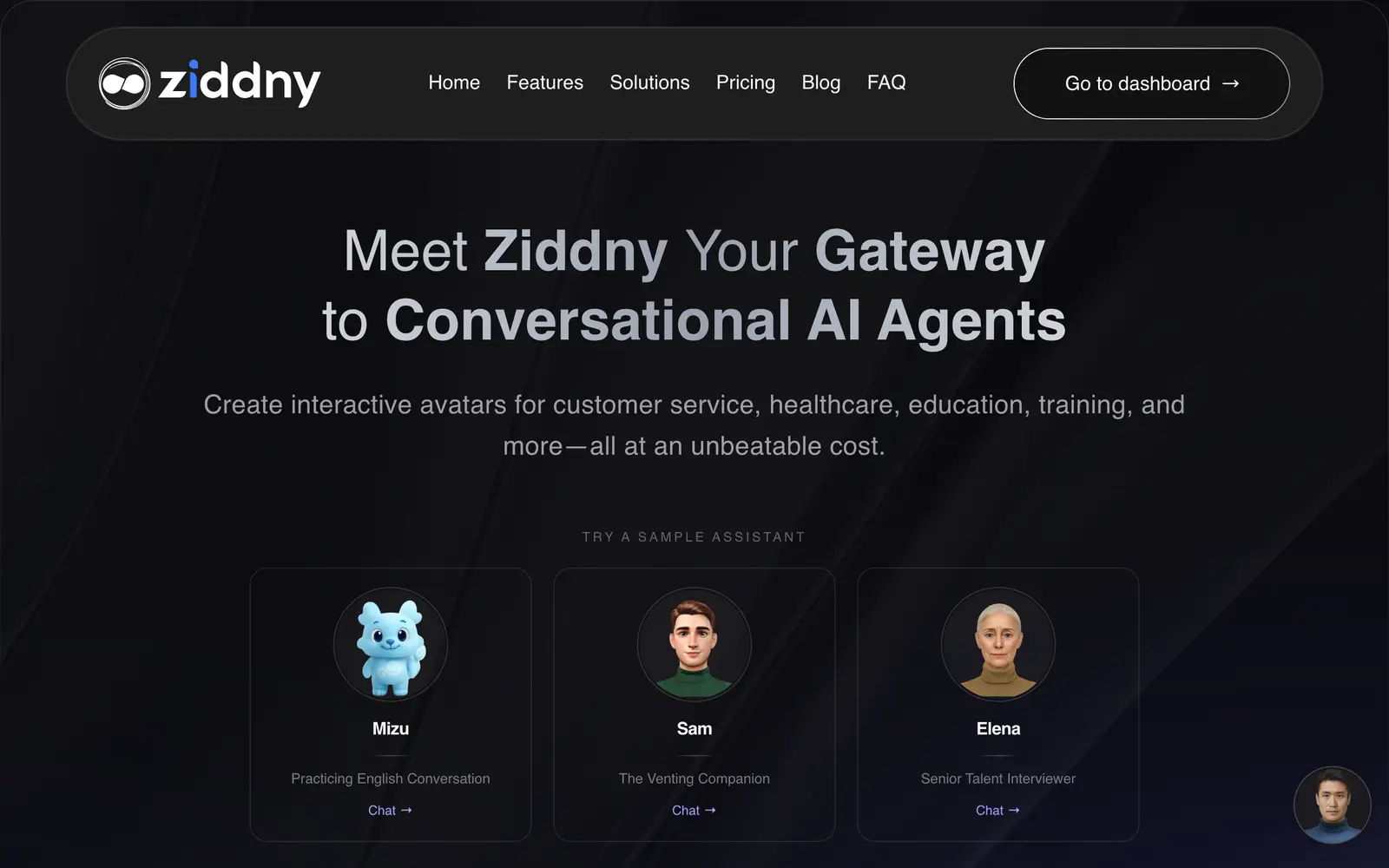 Screenshot of the Ziddny website